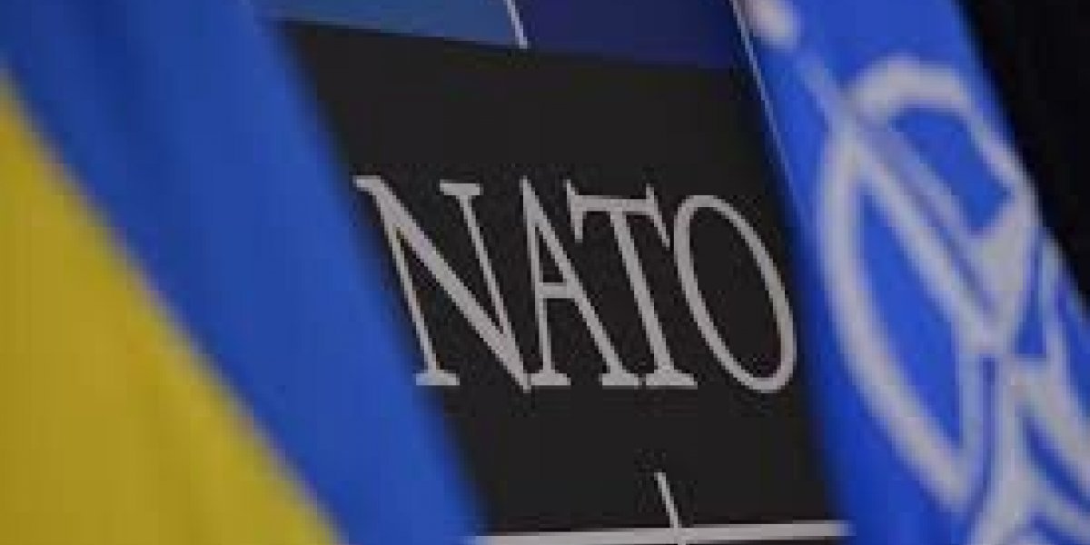 Депутат предрек раскол НАТО в случае вступления Финляндии и Швеции в альянс