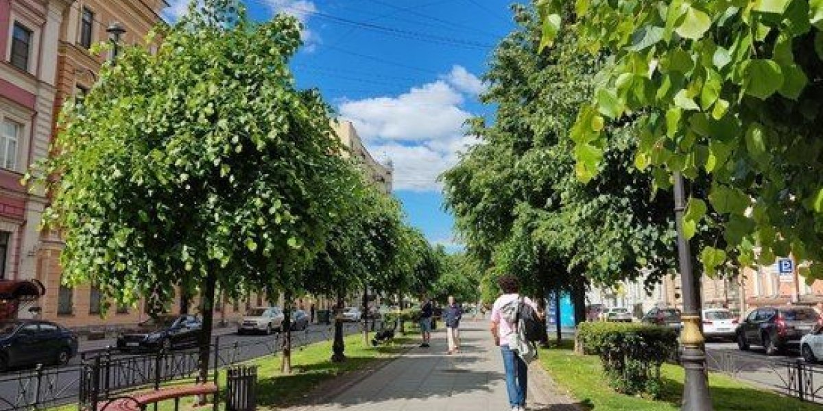 Петербургу пообещали до +29 градусов во вторник, несмотря на холодный фронт